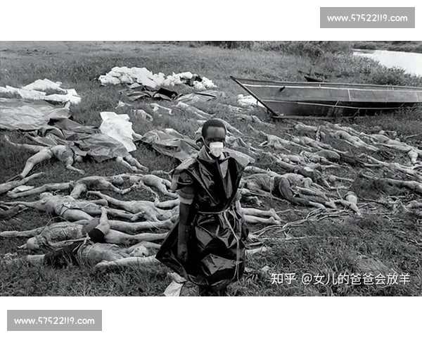 美国与尼日利亚激战回顾 全程精彩瞬间尽收眼底